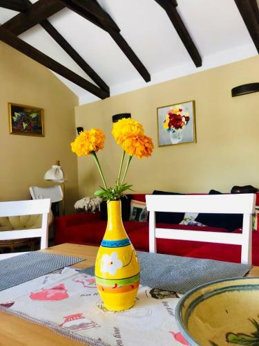 Hostal Agropensiunea Colev