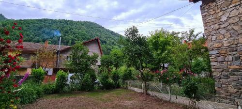 Apartamento La Tanti Coman