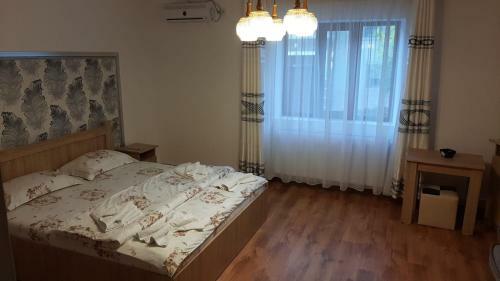 Hostal Casa Svinicean?