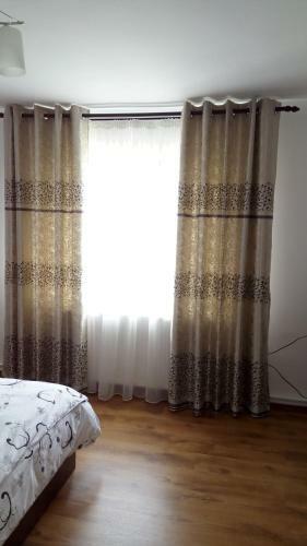 Hostal Casa Svinicean?