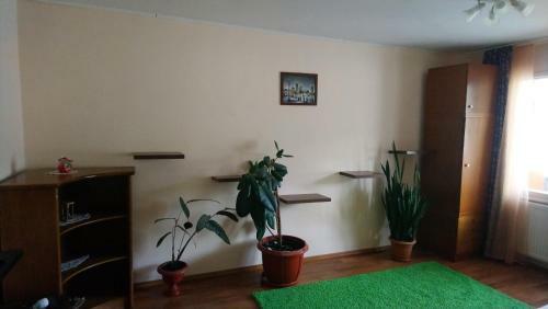 Apartament Relax