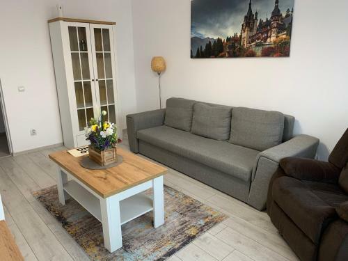 Best Apartment Suceava