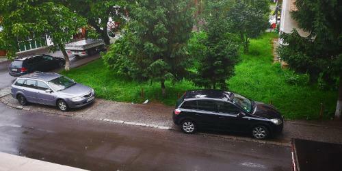 Green Apartament