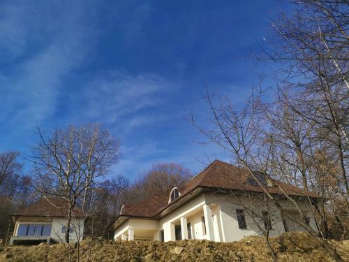 Hotel Provence Suceava