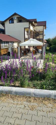 Hostal Casa Carpov Sulina
