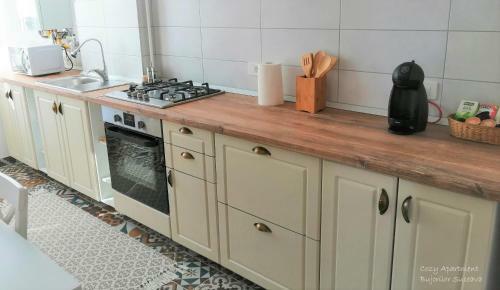 Cozy Apartment Bujorilor Suceava