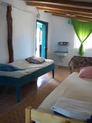 Danube Delta Hostel Homestay & Camping