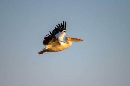 Danube Delta Hostel Homestay & Camping