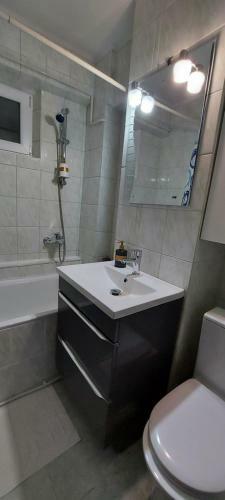 Bucovina Confort Apartament
