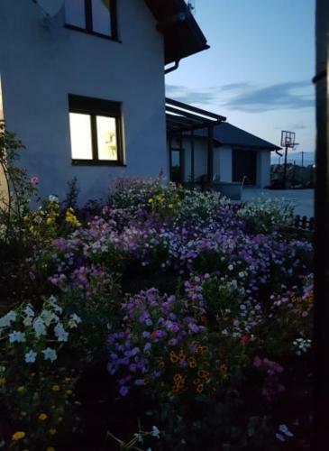 Hostal Casa Dora