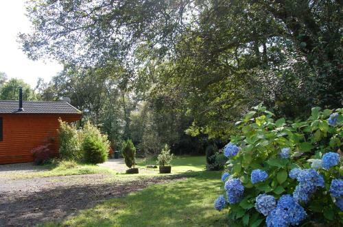Luxury Woodland Oak Lodge