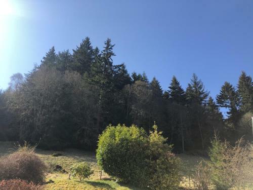 Foresters Lodge Bed And Breakfast, Near Loch Ness