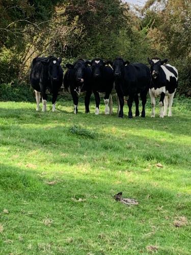 Church Farm, Legbourne Louth