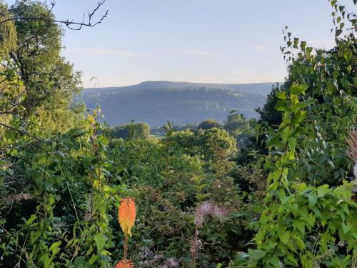 Brecon Beacons Old Vicarage, Stunning Garden & Views