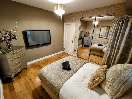 Homebird Property - Carter Knowle House