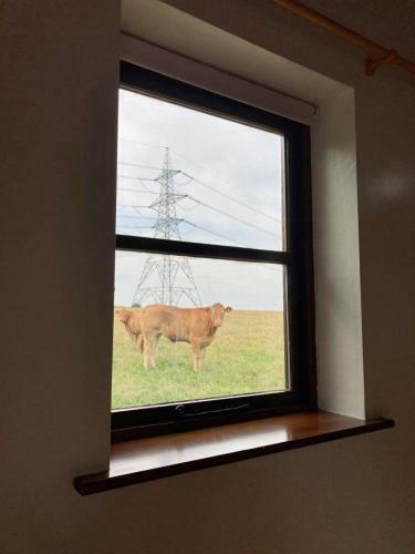 Apartamento Brecks Cottage