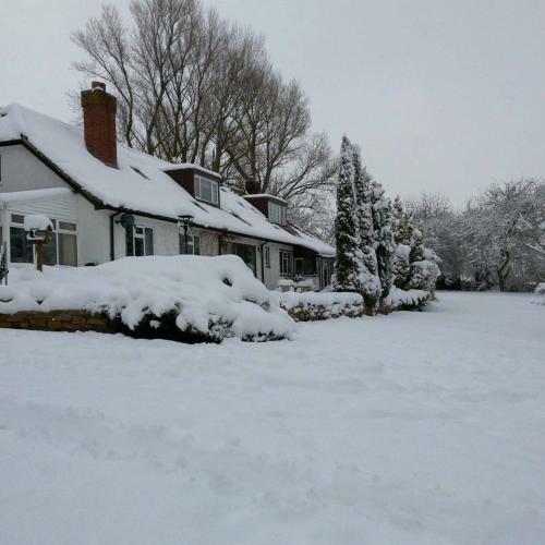 Bed & Breakfast Wood Rising