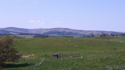 Stainie Brae Cottage