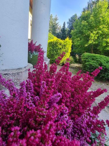 Agroturismo Wrzosowe Siedlisko