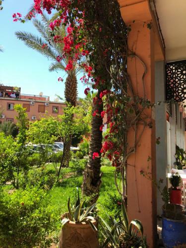 Hostal Chambre Palmier Fleurit