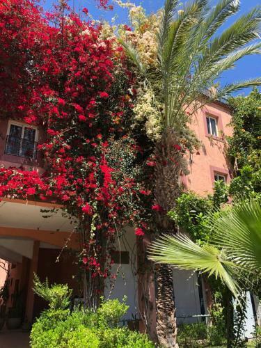Hostal Chambre Palmier Fleurit