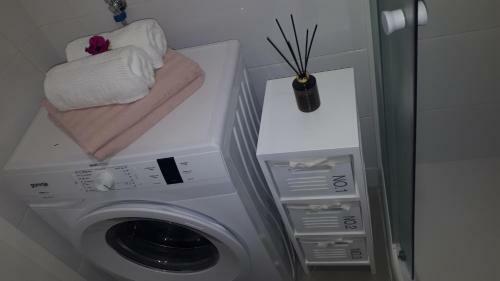 Apartment Frane