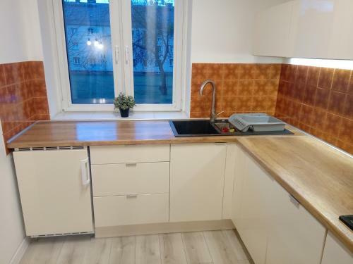 Apartament Gliwice Centrum ?wi?toja?ska