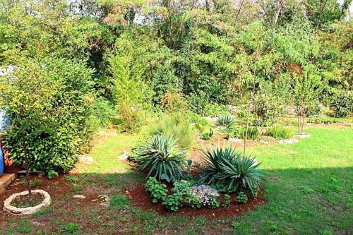 Apartamento Jelena