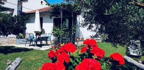 Apartamento Studio Benassi