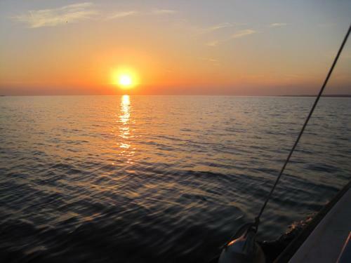 Apartmani Nora