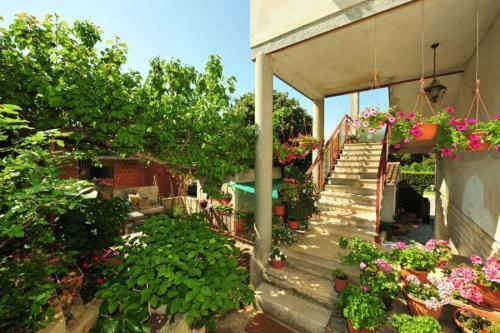 Apartment Patricia