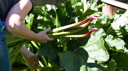 Bed & Breakfast The Loft Room