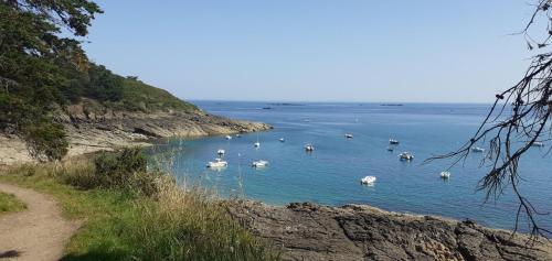Chez Emile