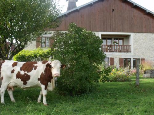 Bed & Breakfast La Fontaine Aux Oiseaux