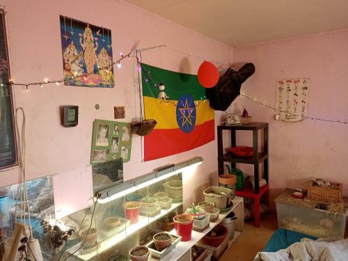 Apartamento Wenity