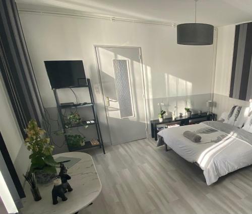 Apartamento Le Charles VII