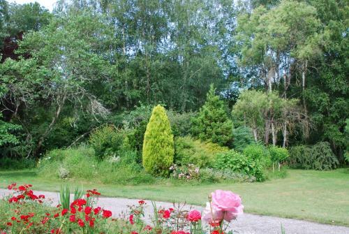 Bed & Breakfast La Petite Marguerite
