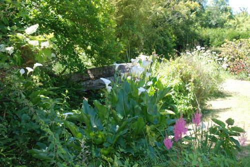 Bed & Breakfast La Petite Marguerite