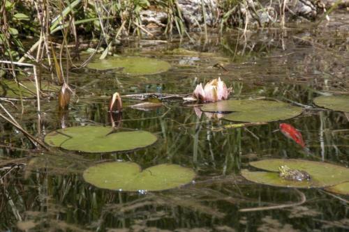 Au Jardin de La Marquetterie