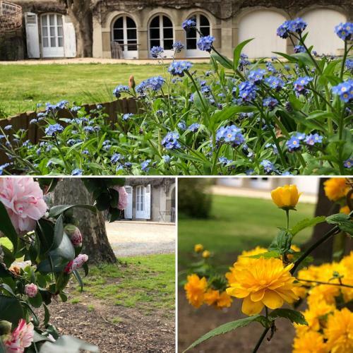 Hostal Au Rez De Jardin