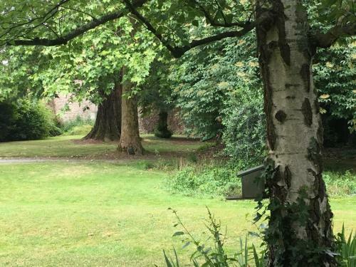 Hostal Au Rez De Jardin
