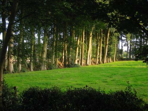 Bed & Breakfast Ch�teau de Cleuville