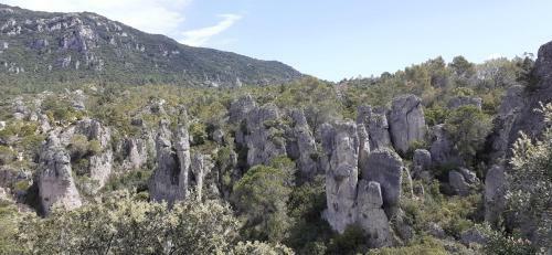 Apartamento Grand Studio Entre Lac Et Garrigue