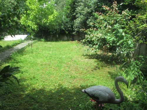 Apartamento Appart Jungle