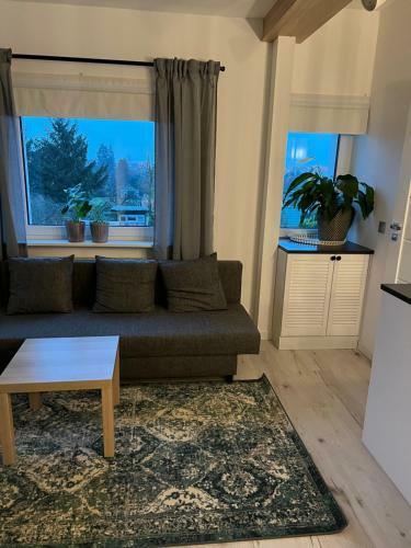 Apartamento Brzozowa Studio