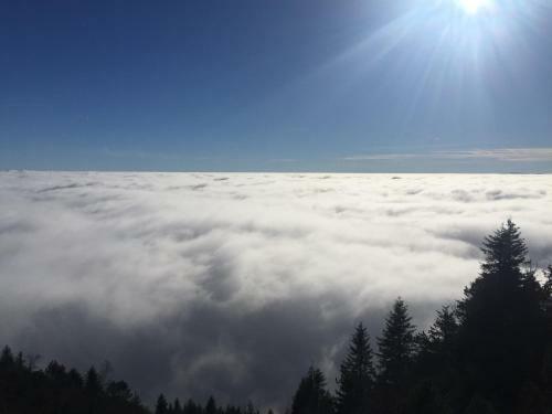 Charmant Gite de S�jour Le Gray