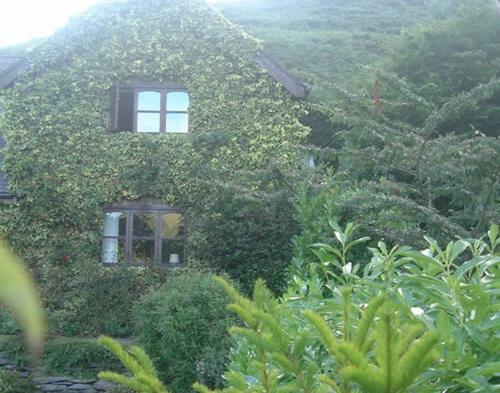 Apartamento Horseshoe Pass Holiday Lets