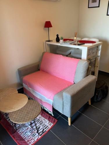 Apartamento Studio R�nov� Climatis� Piscine Parking