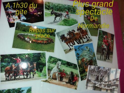 G�te Dans Le Perche, Le Panoramic