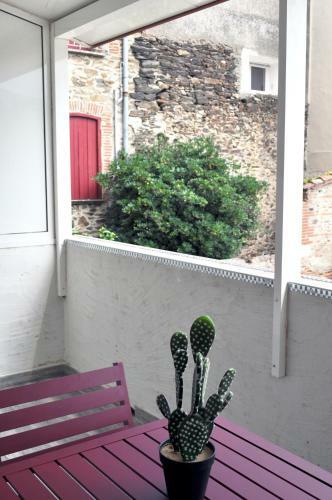 Apartamento Ibanova